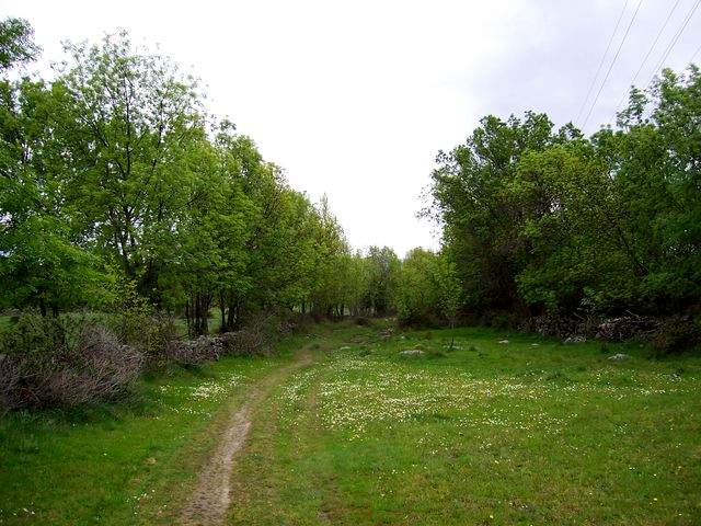The pathway to Aldeanueva del Camino