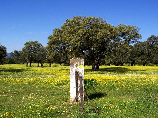 Arrow and pastures