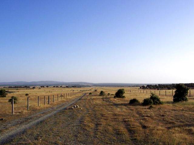 The pathway after Fuenterroble de Salvatierra