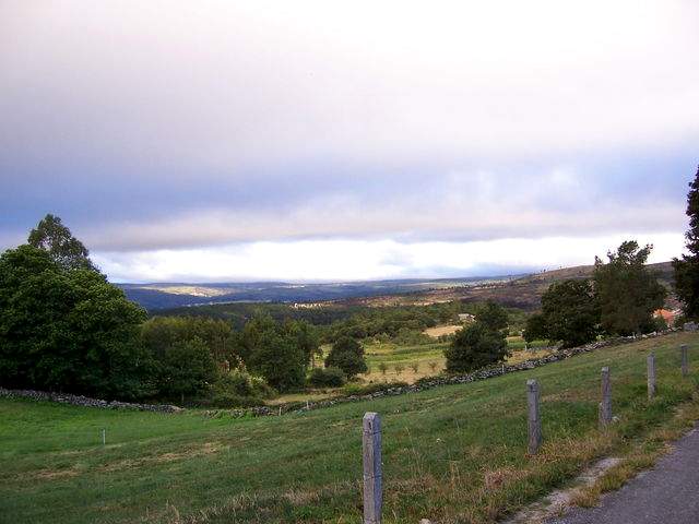 The pathway to Oseira