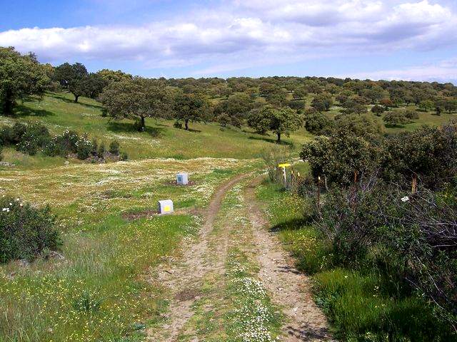 Indelibly waymarked