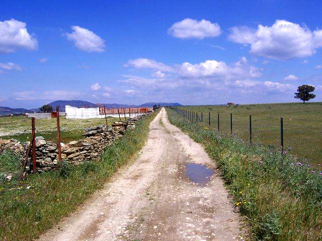 The pathway to Ca�averal