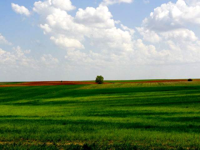 Landscape on the way to Granja de Moreruela