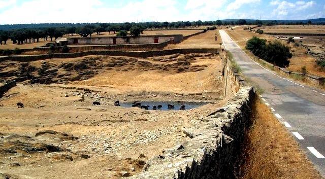 Iberian pigs at the Arroyo de los Mendigos