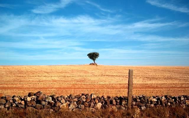 Landscape after Morille