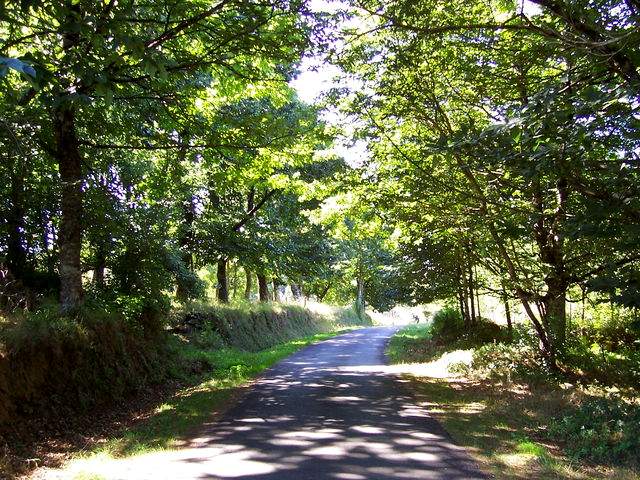 The pathway to Xesta