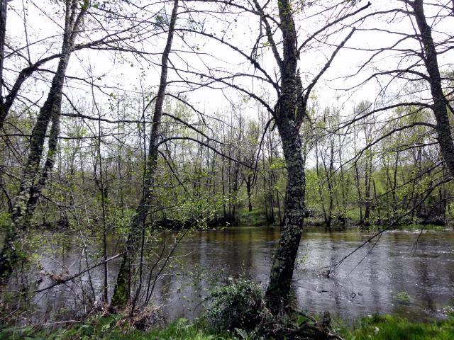 The river Castro after Puebla de Sanabria