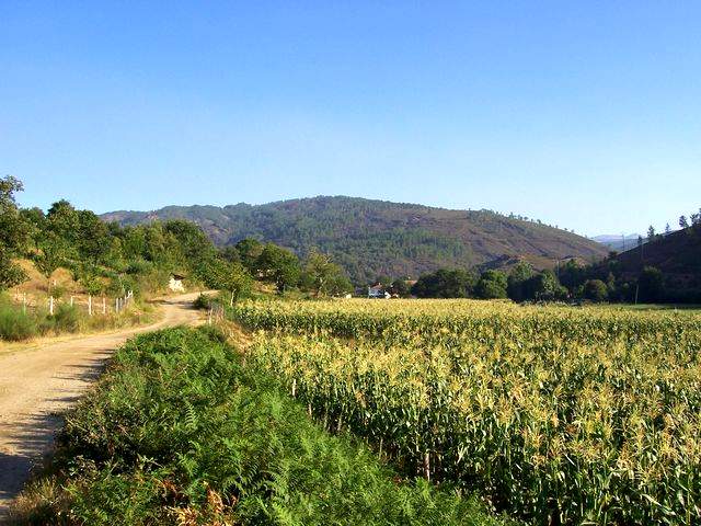 On the way to Soutelo Verde